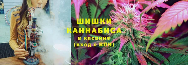 бошки Алексин